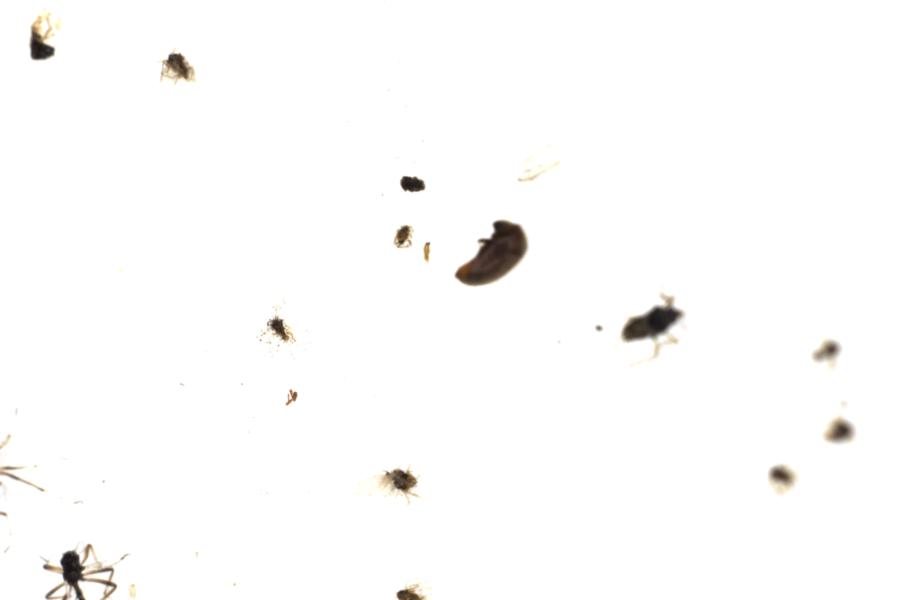 Image 44